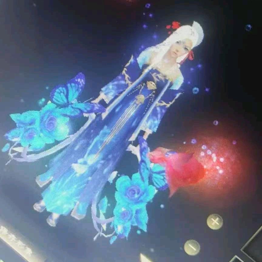 今天吃什么