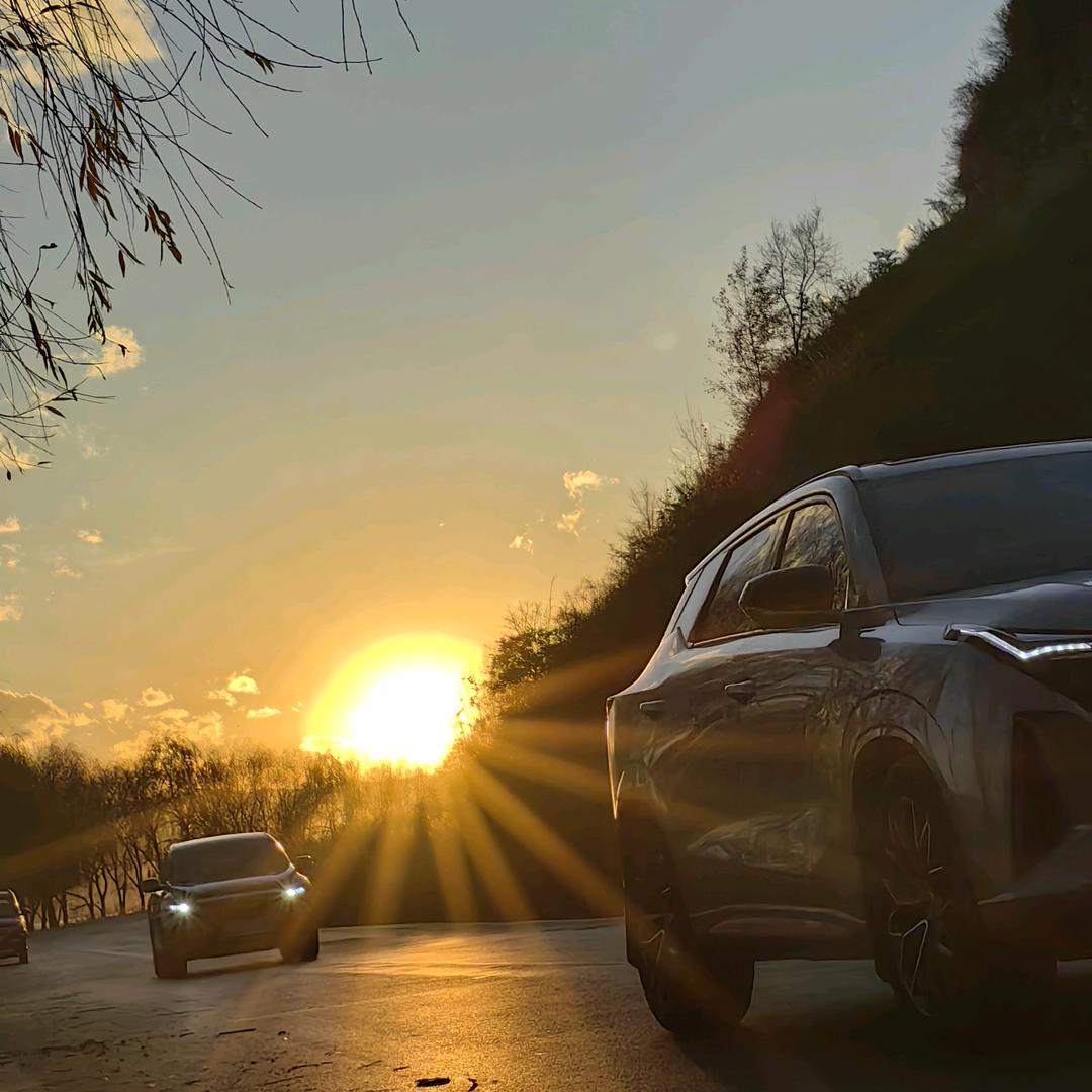 她说李青悲欢自饮