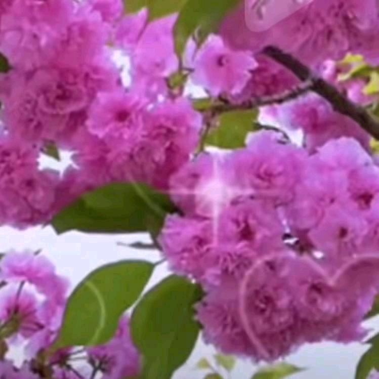 挺好的-✘
