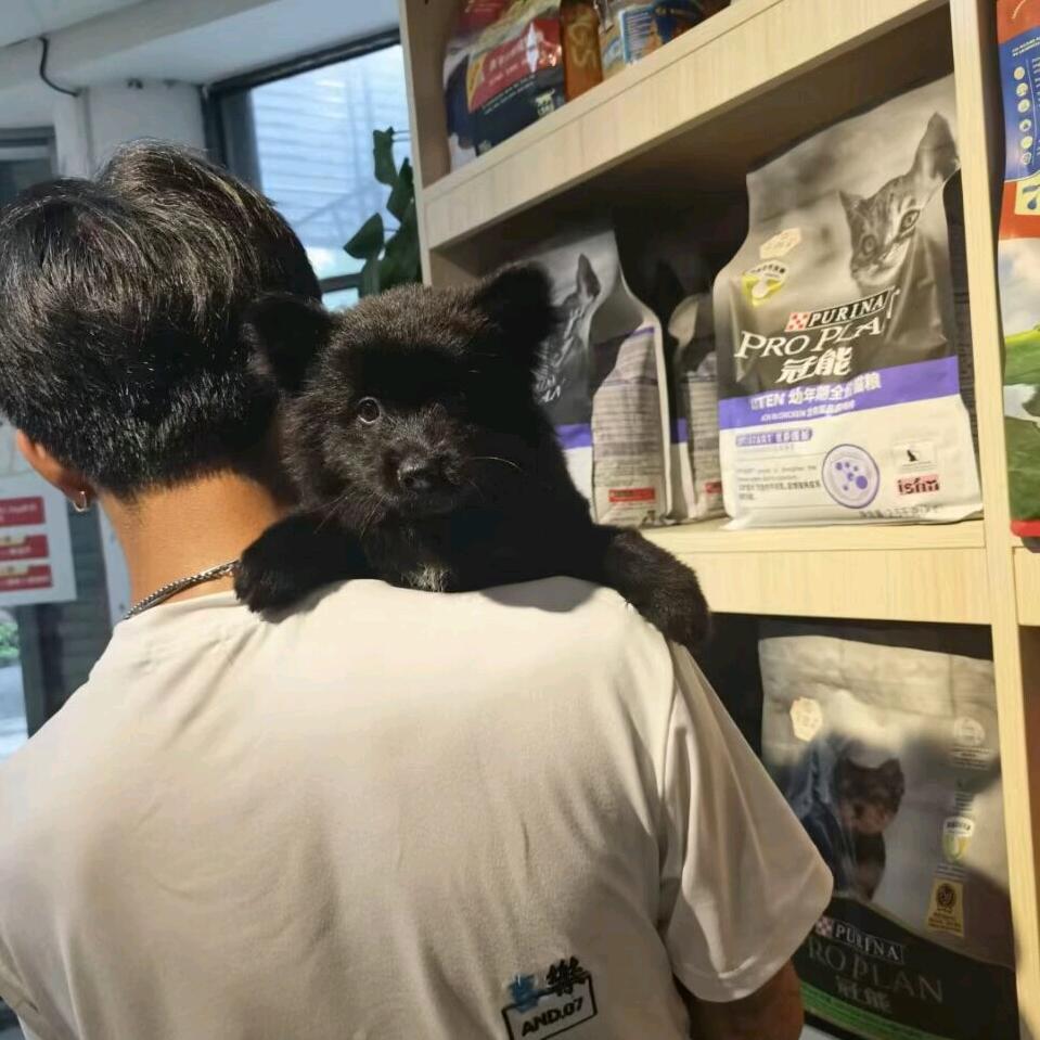 阿辉阿