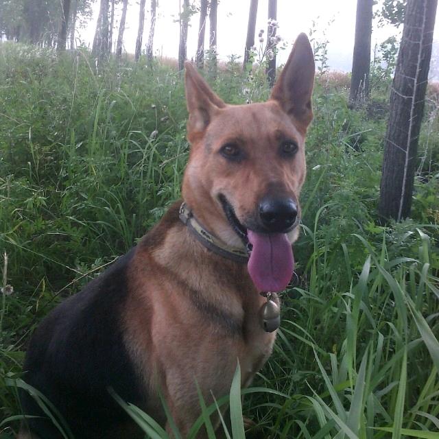 👉👉梦想👈👈