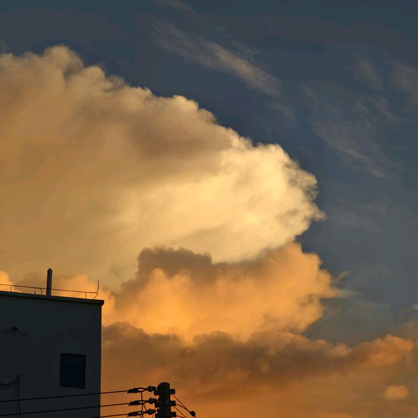小w.
