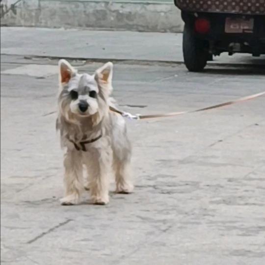 徐州燕子家