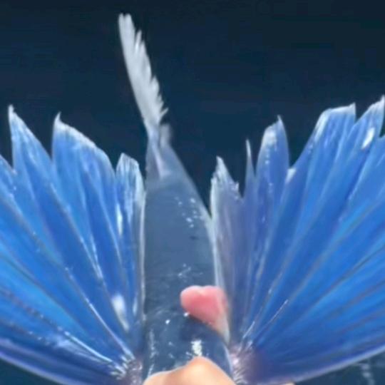 小万