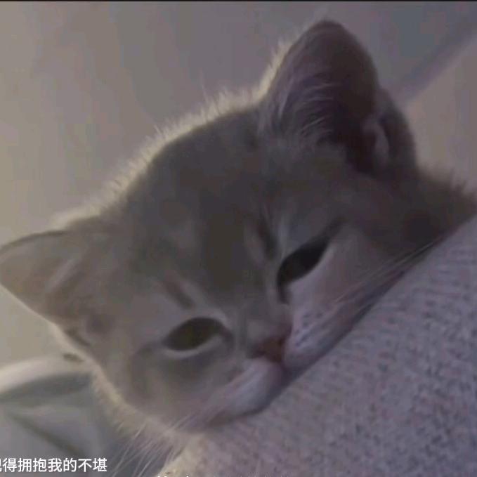 小7-