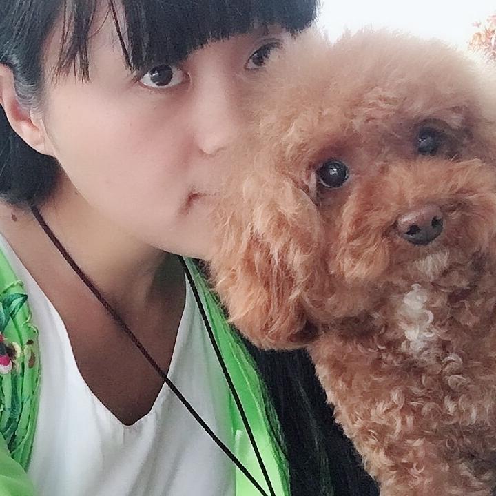 南阳市清和商贸有限公司