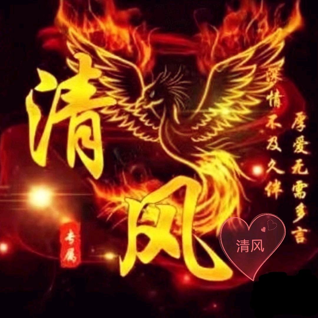 清风⭐️