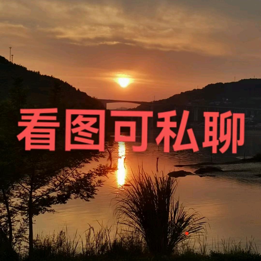 觅影者
