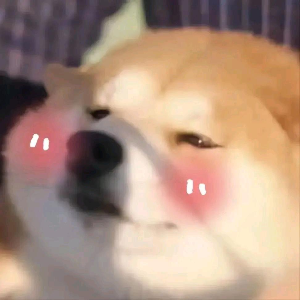 是闻歌呀