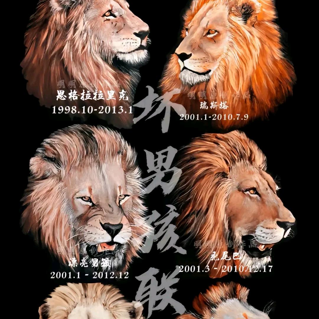 马库鲁