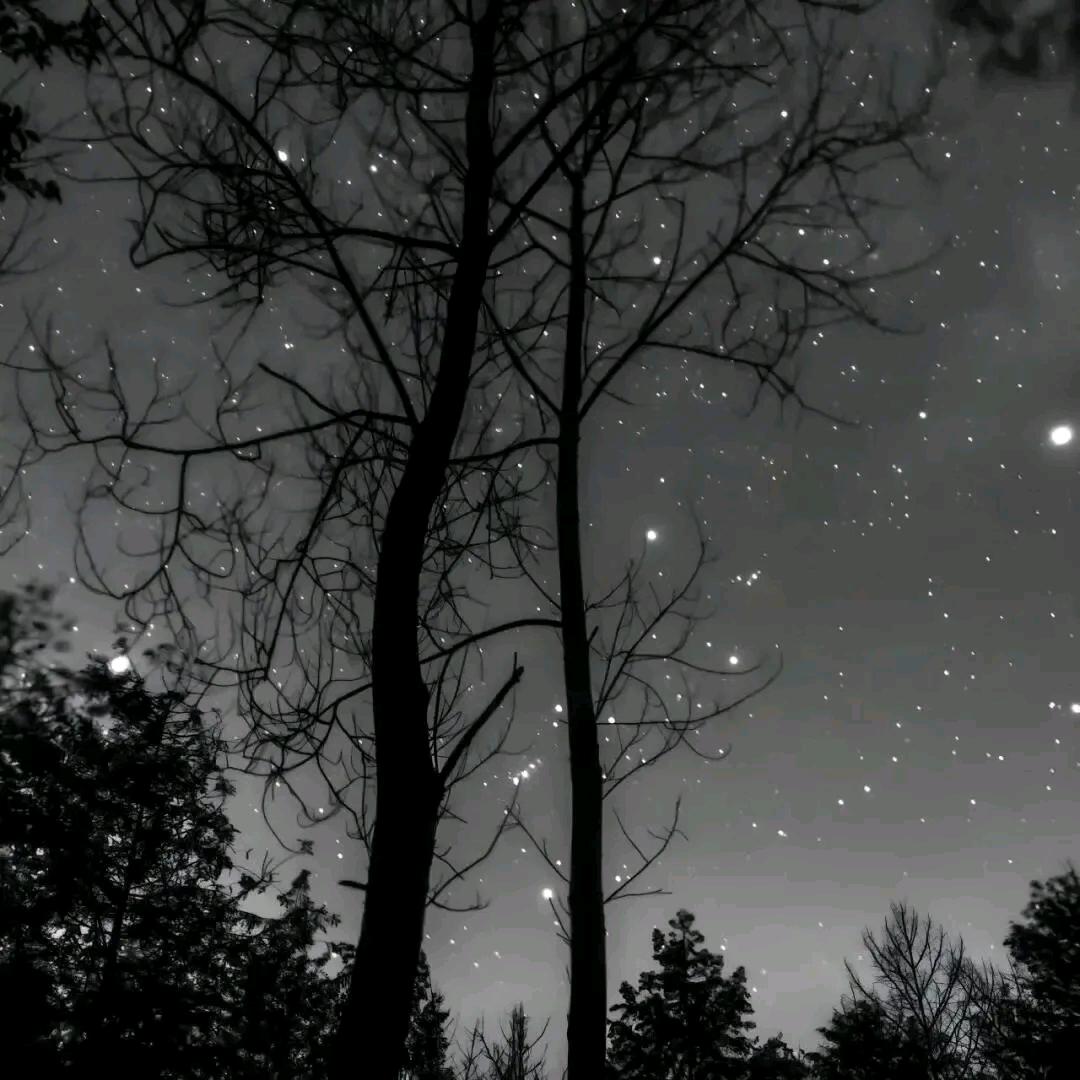 ξ( ✿＞◡❛)