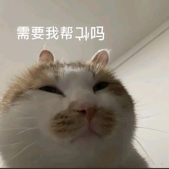 韵鑫💞