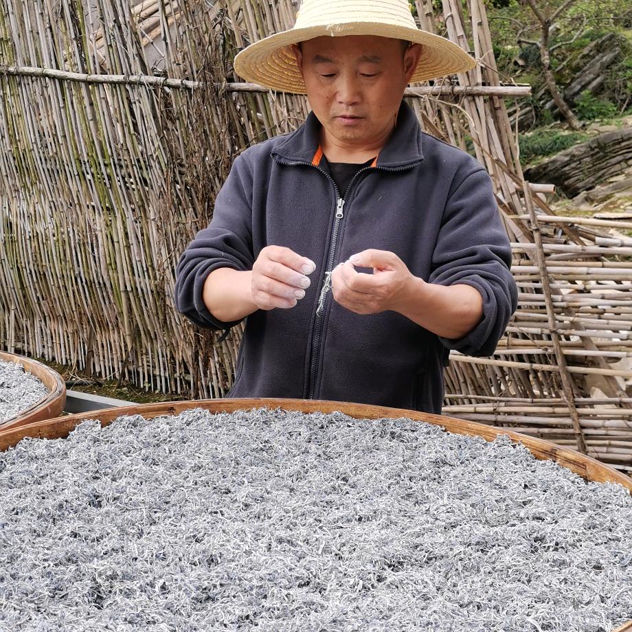 莓茶大叔 | 湘淘优选