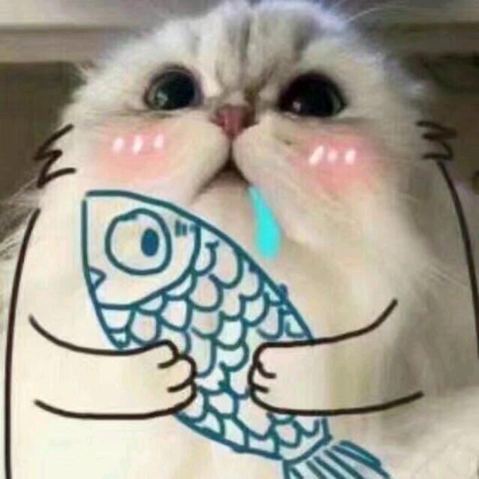 Cc