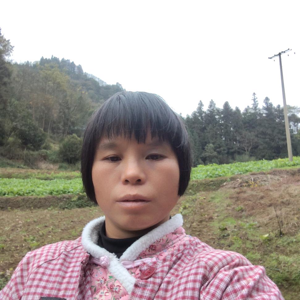 徐二姐