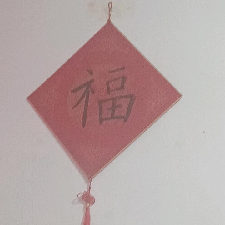 电工小罗(罗大伟)