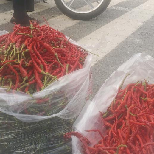 农民工好物分享