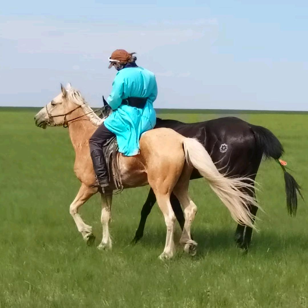 Алтанцэцэг