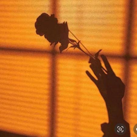 ꦿ꯭花প