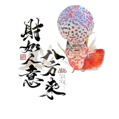 🇰-🇰罗汉鱼