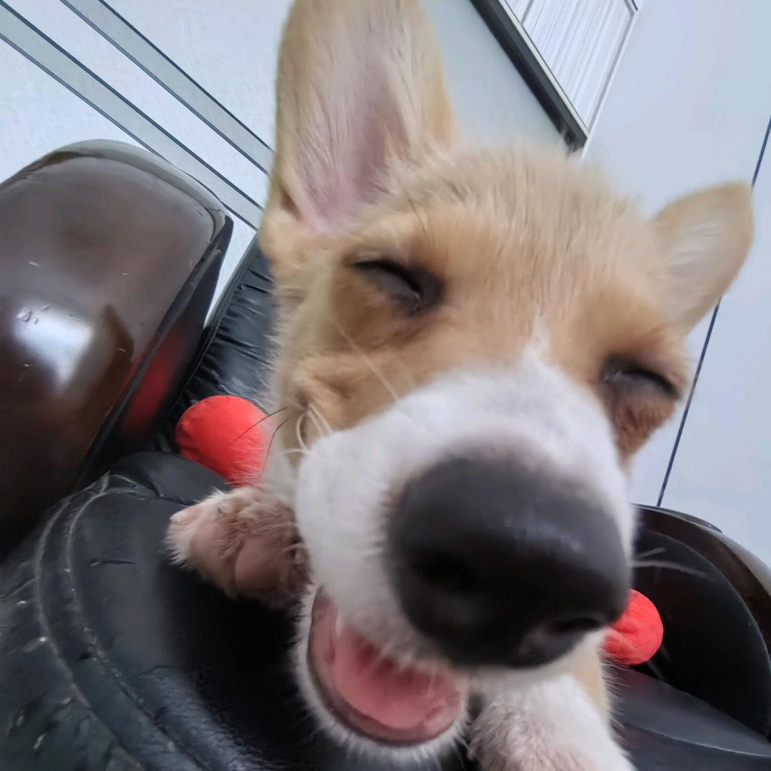 又困ˡᵃ💤