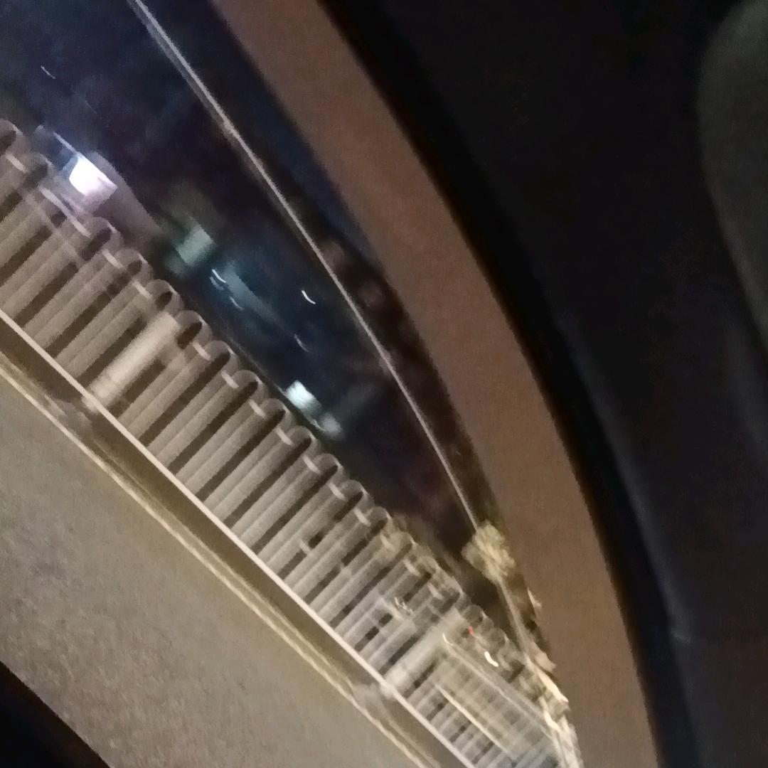 伟少