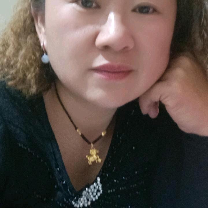 新飞燕