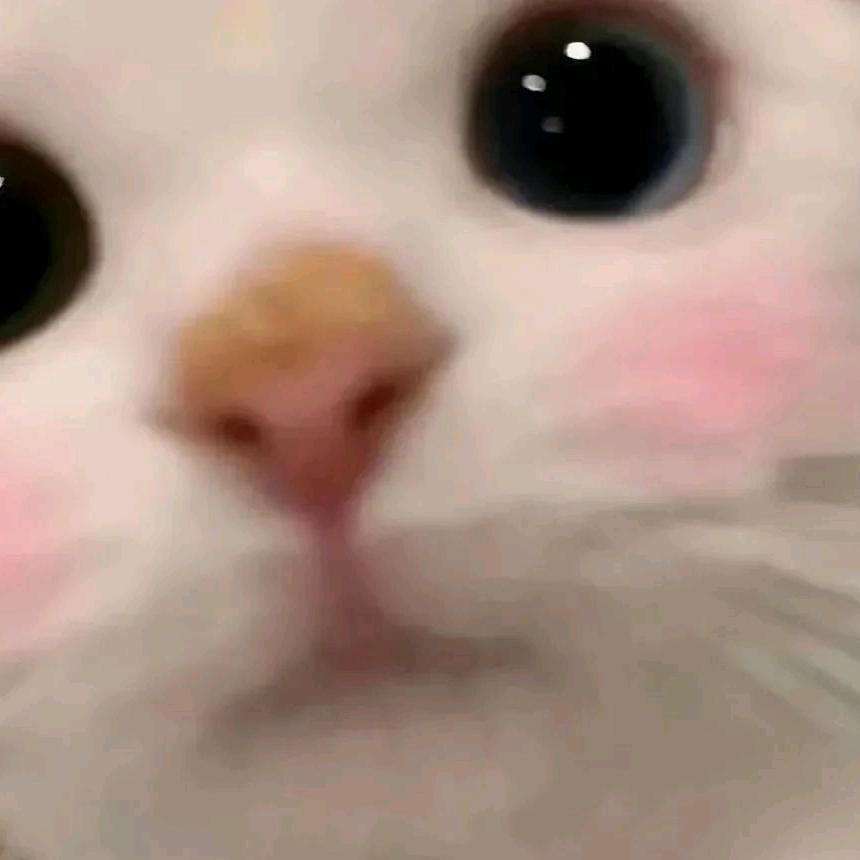 (*´I`*)
