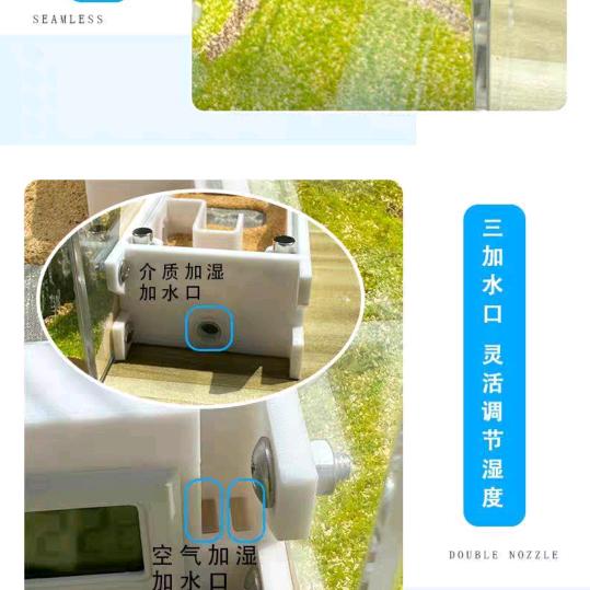 松鼠