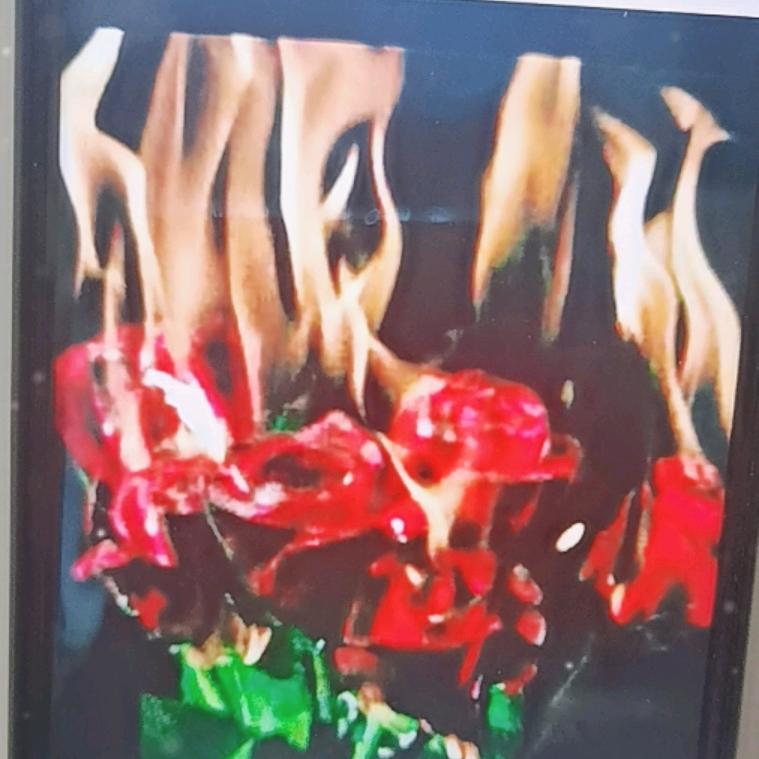 🌹火玫瑰🌹