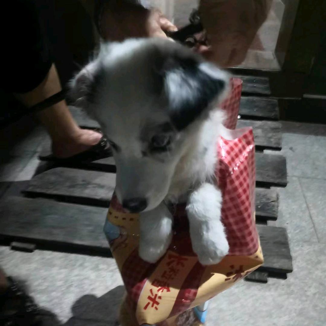 。。