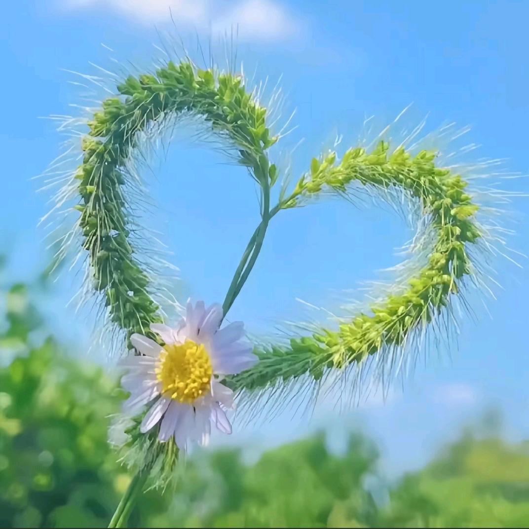 🥀এ᭄封心ꦿ锁💔爱 ོ࿐🥀এ᭄