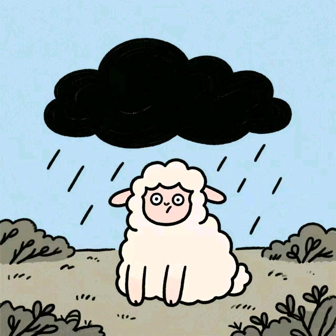 等雨的绵羊