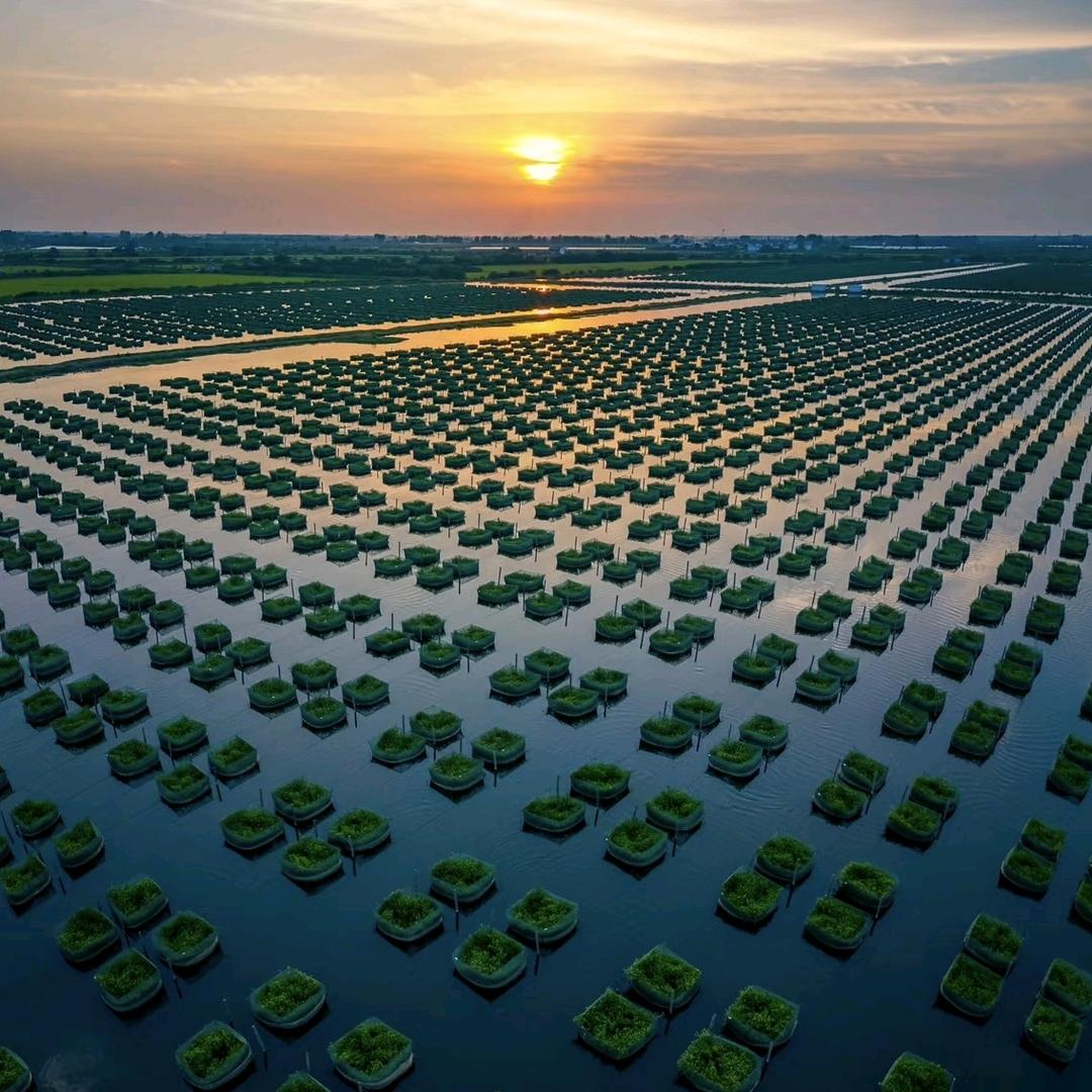 鳝🐟苗苗.每天惠