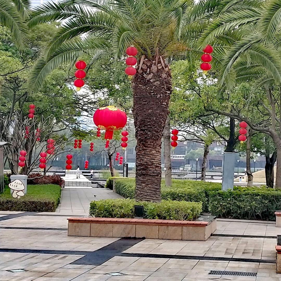 尤加莉(原创穿搭)