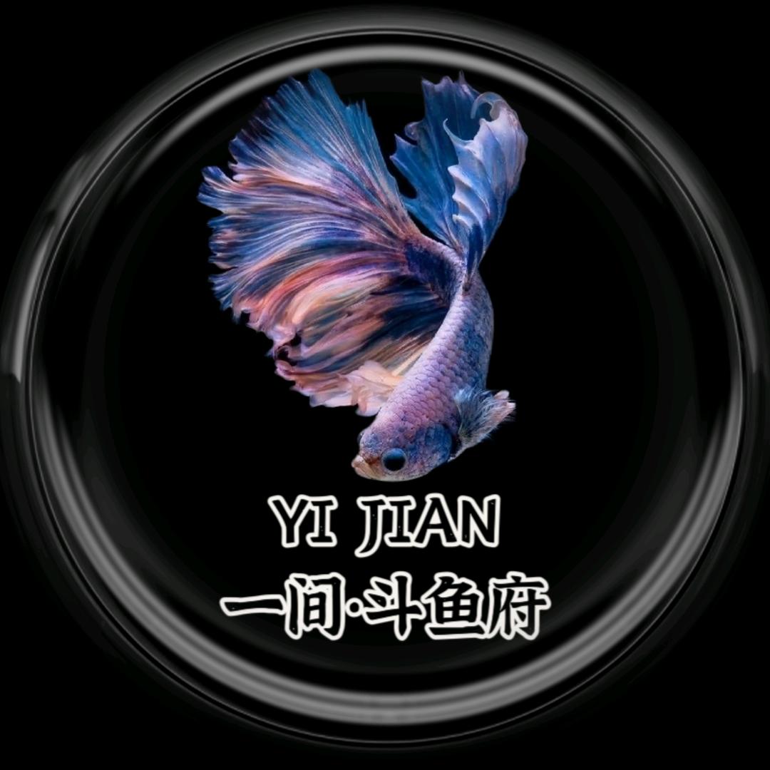 鄯善县一间斗鱼府水族馆