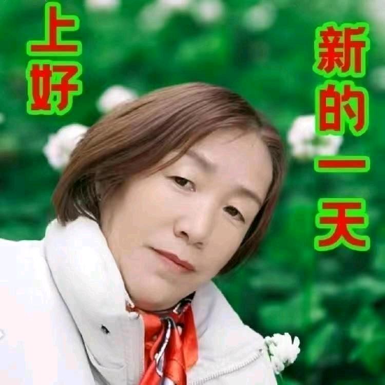 莲💋姐