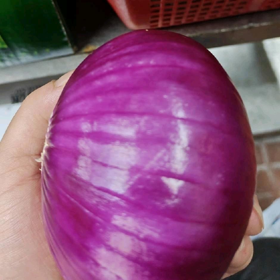 江撒