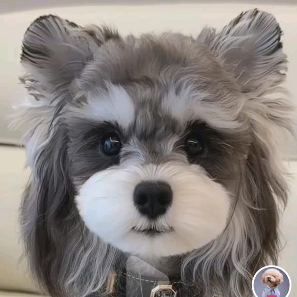 鑫宇