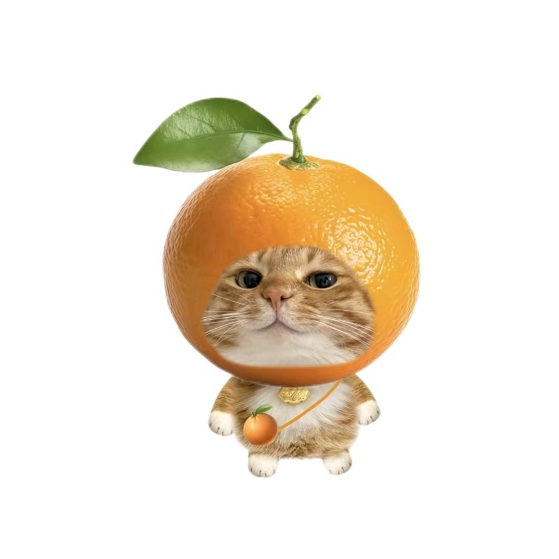 橙小橙