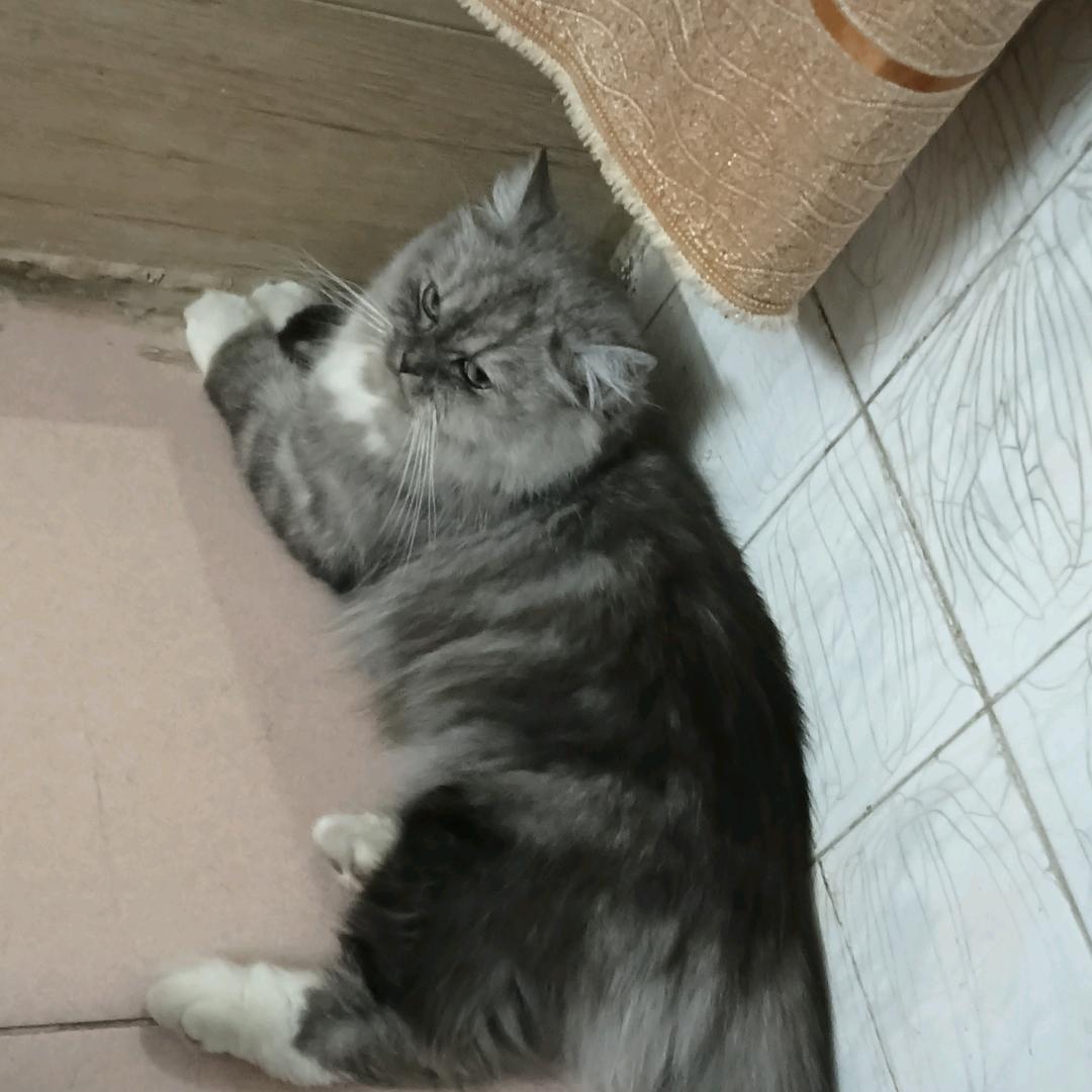 李朝群