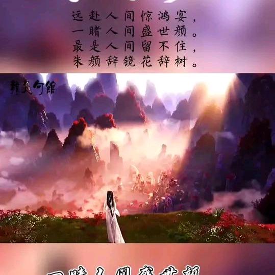 羽123