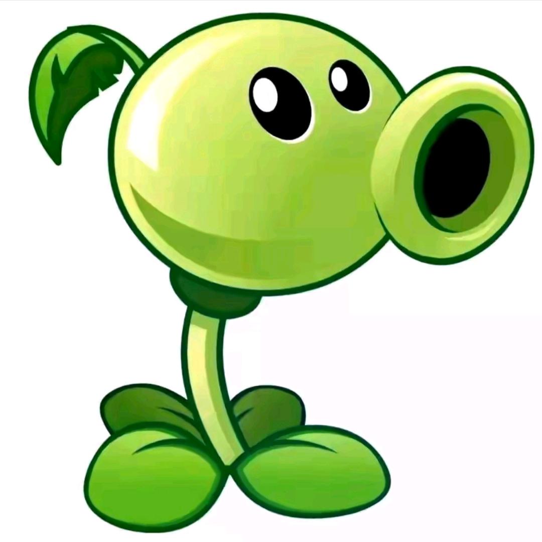 🟢🟢🟢🟢🟢🟢🟢🟢🟢🟢