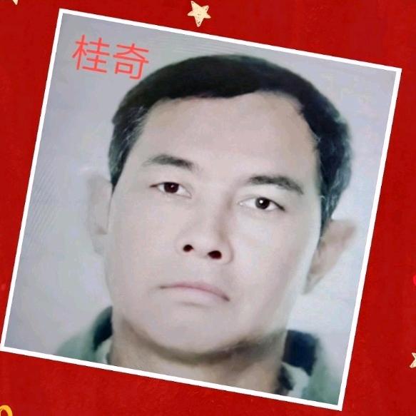 桂奇