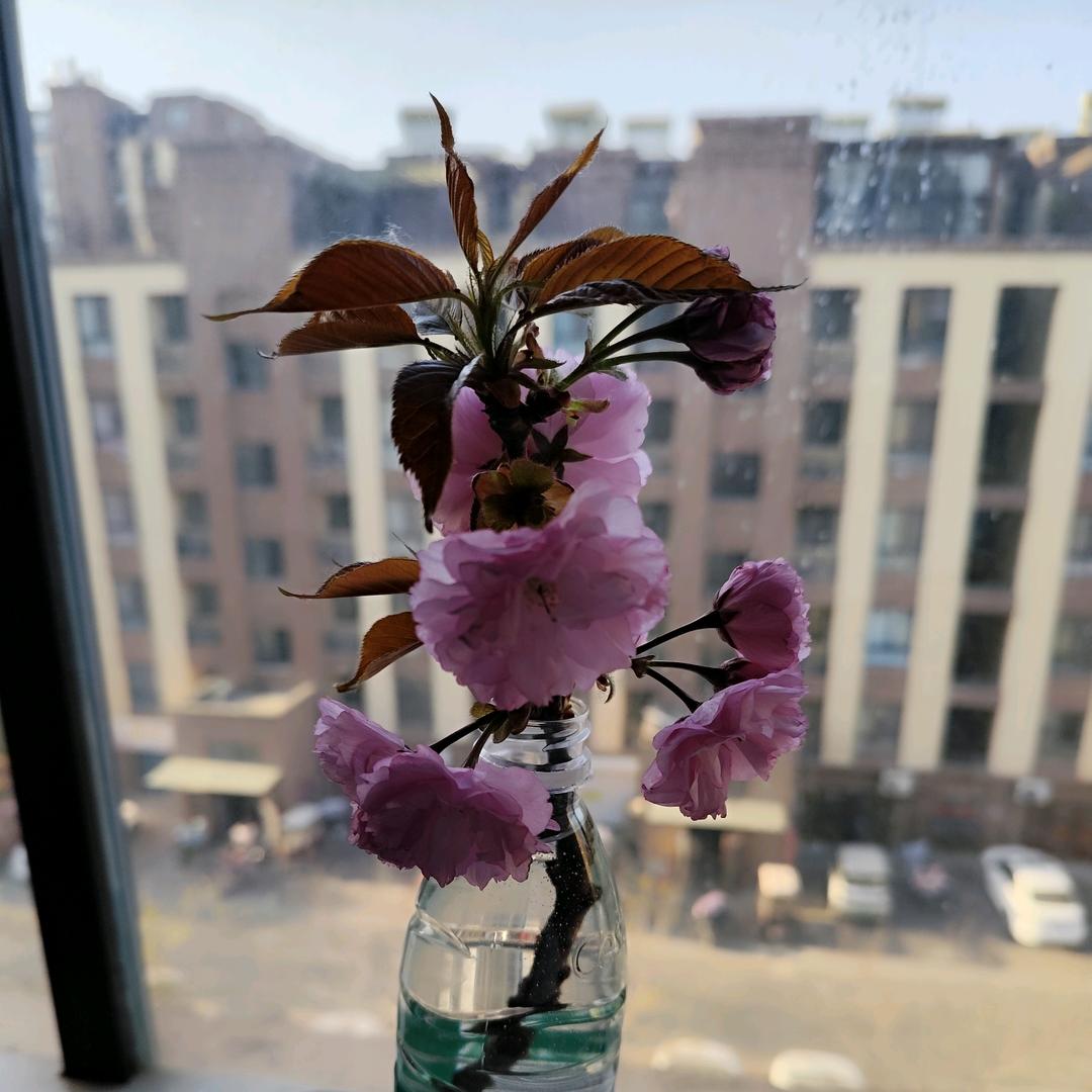 ꧁💞余生꧔ꦿ℘᭄ᩚ꯭ᩚ安好💞᭄᪲ᩚ꯭