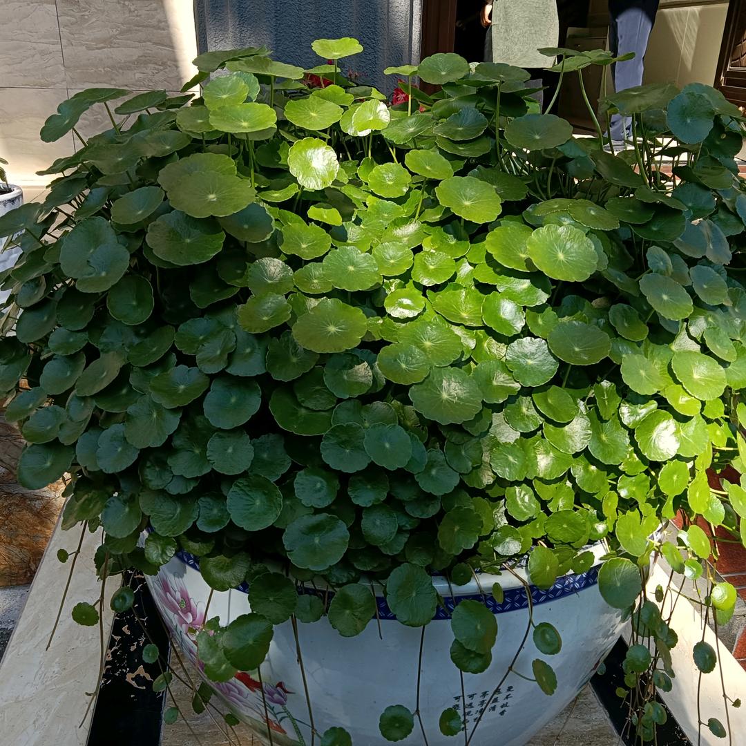 健康快乐