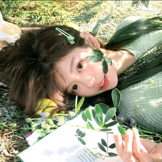 杨梅