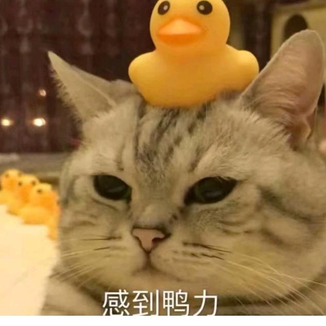 随.缘@
