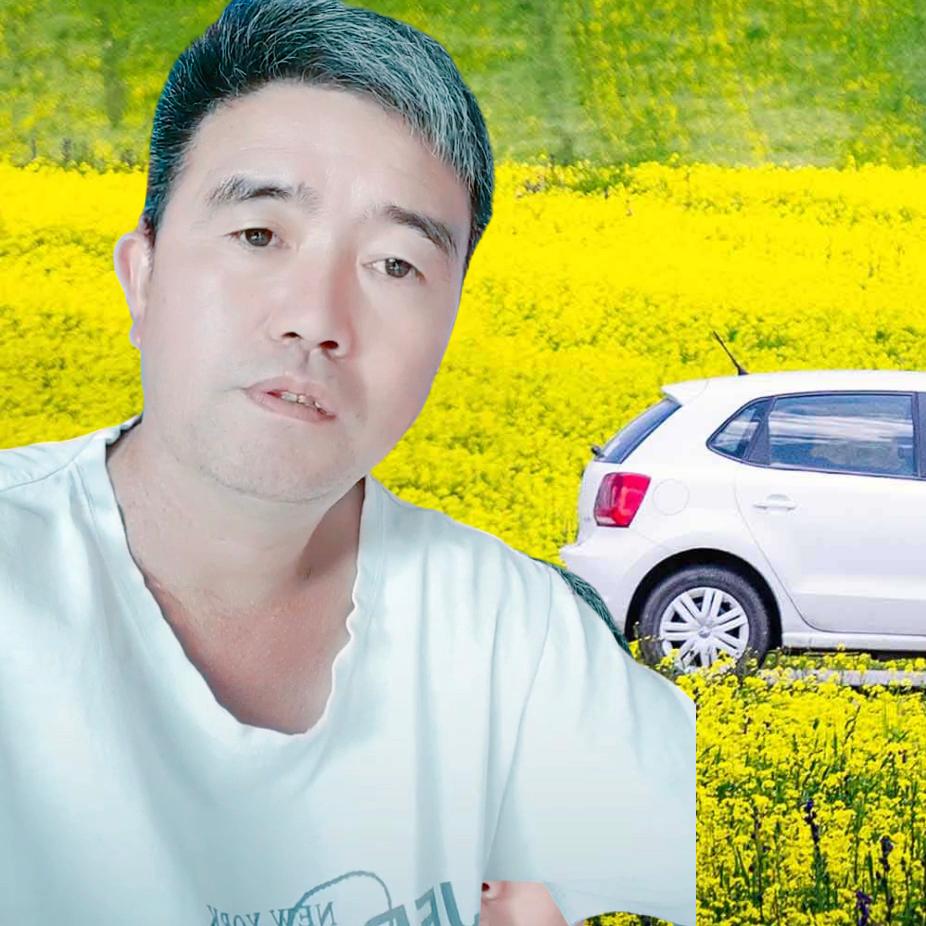 苦乐年华