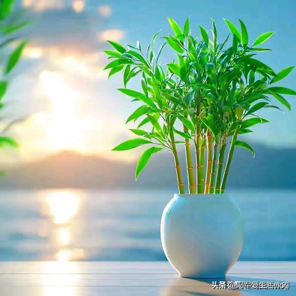 乄.夵🌱